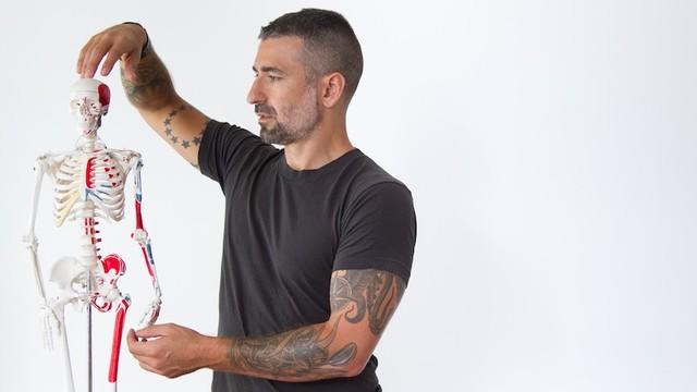 Tavares standing next to a skeleton model. Tavares appears to be in a teaching or explaining Alexander Technique, as he is touching the skeleton's head with one hand and its lower back with the other. The background is plain and white, which suggests an educational or clinical setting. The skeleton model includes red elements, possibly to indicate muscles or parts of the circulatory system, and it is mounted on a stand.